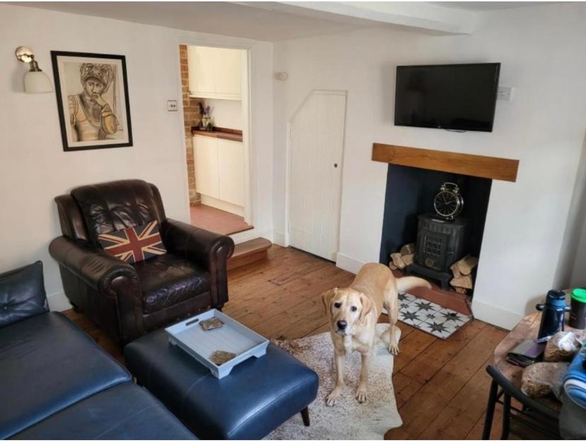 Sweet & Cosy 10 Bridewell Cottage With Parking Available Upon Request Bury St. Edmunds Exterior foto
